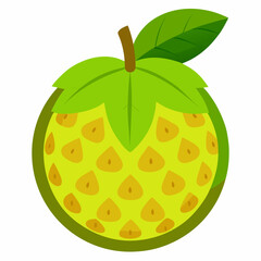 breadfruit vector illustration