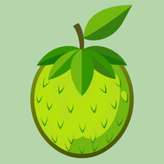 breadfruit vector illustration