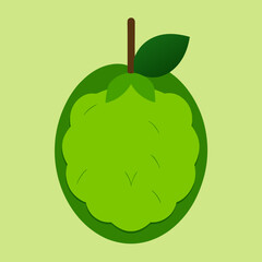breadfruit vector illustration