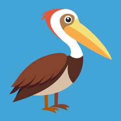 illustration of a brown pelican