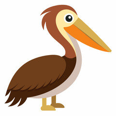 illustration of a brown pelican