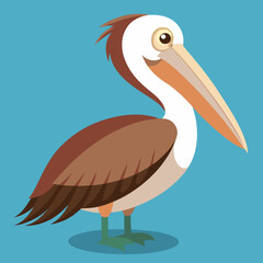 illustration of a brown pelican