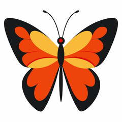 butterfly vector illustration