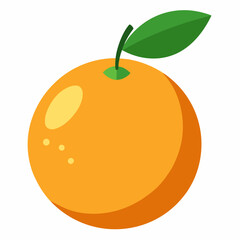 calamansi fruit vector illustration