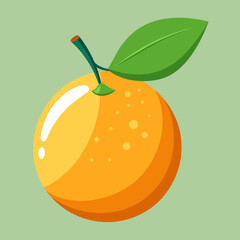 calamansi fruit vector illustration