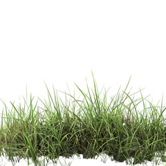 Fototapeta premium Lush green grass isolated on transparent background perfect for landscaping design or nature projects adds vibrant greenery to any scene