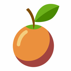 camu fruit vector illustration