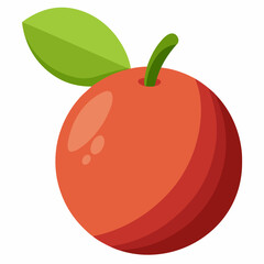 camu fruit vector illustration