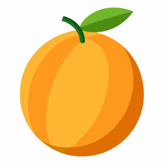 orange fruit vector illustration cantaloupe