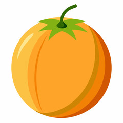 vector illustration of an orange fruit cantaloupe