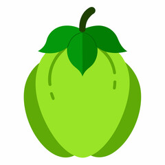 vector illustration of an chayote