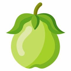 vector illustration of an chayote