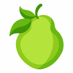 vector illustration of an chayote