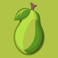 vector illustration of an chayote