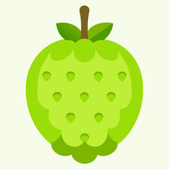 vector illustration of an chayote