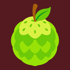 vector illustration of an chayote
