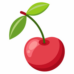 vector illustration of cherry