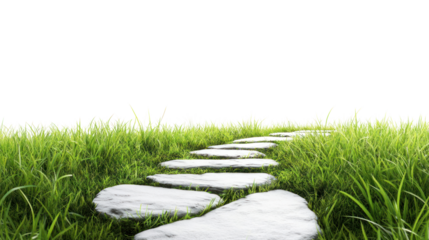 A serene pathway of stone tiles winding through lush green grass, creating a peaceful outdoor setting for relaxation and exploration.