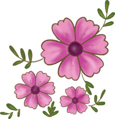 Beautiful purple pink flower