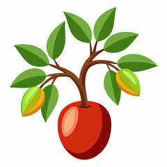 vector illustration of a cocoplum