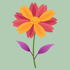coreopsis flower vector