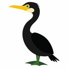 heron on a white background cormorant