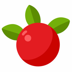 red apple with leaf cranberry