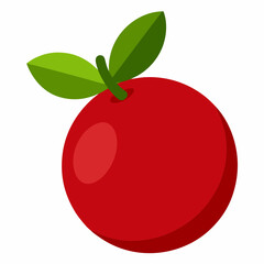 red apple vector illustration cranberry