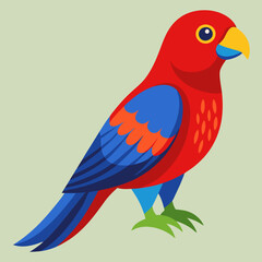 vector illustration of a bird crimson rosella