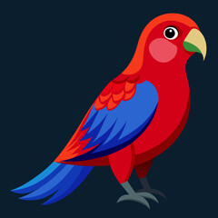 vector illustration of a bird crimson rosella