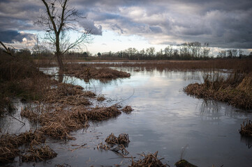 Obraz premium Ghent Bourgoyen-Ossemeersen