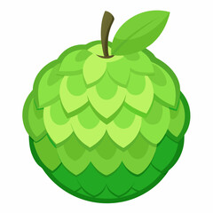 custard apple isolated on white