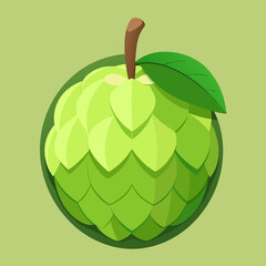 custard apple vector
