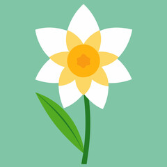 white daffodil flower