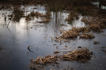 Ghent Bourgoyen-Ossemeersen