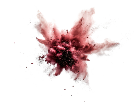 Pink flower with delicate petals on a dark black background creating a striking visual contrast isolated on a white background.