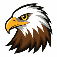 american bald eagle