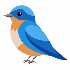eastern bluebird on a branch