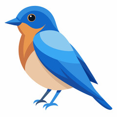 eastern bluebird on a branch