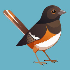 illustration of an eastern towhee