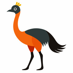 illustration of an emu