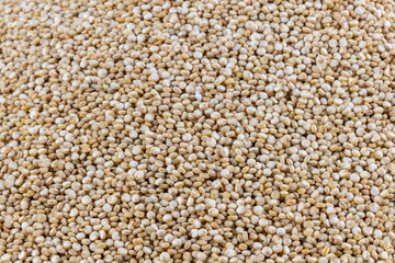 White quinoa seeds, close-up. Chenopodium quinoa. Food background. edible seeds, rich in protein.