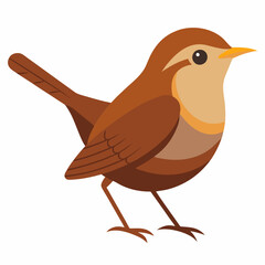 illustration of a eurasian wren