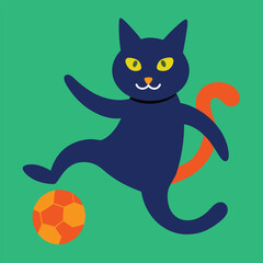 cat playing football