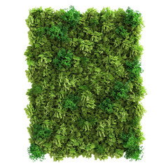 Obraz premium Lush green foliage wall vibrant green plants natural texture botanical background greenery backdrop