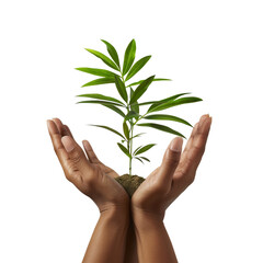 Two hands gently hold a small green plant a symbol of growth nature and environmental care  Hope for a better future is shown