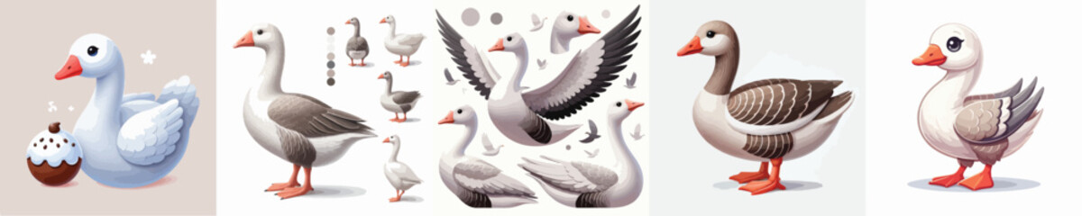 vector set of adorable swans