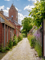 Small street with hollyhocks and tower of St. Ludger Church in Garnwerd, Westerkwartier, Groningen, Netherlands
