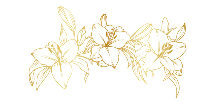 Golden lily flowers line art isolated on white background. Luxury lilies floral design elements for invitation, wedding, wallpaper, print template, vector illustration