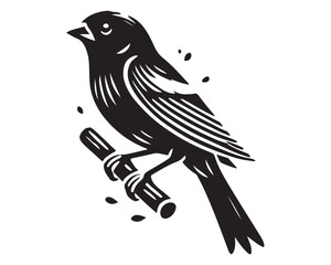 Finch 9.eps